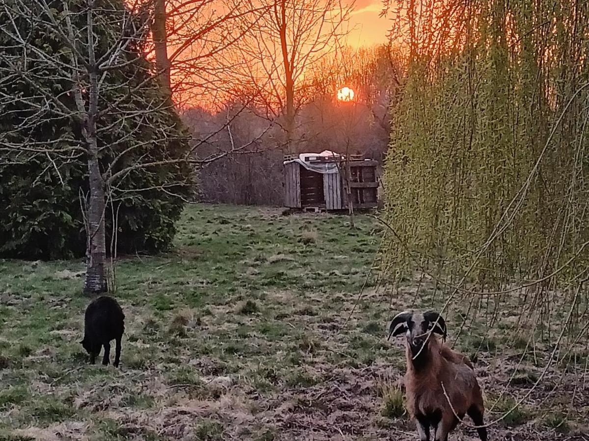Les Chambres Du Vert Galant "Coucher De Soleil" Verlinghem Exteriör bild